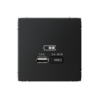 Высокоскоростная розетка USB А+С Systeme Electric (Schneider Electric), ArtGallery, карбон, GAL001029