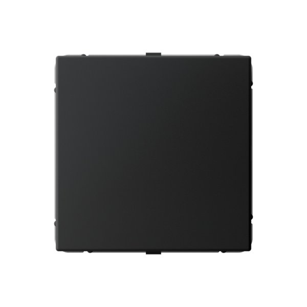 Заглушка без суппорта для многопостовых рамок Systeme Electric (Schneider Electric), ArtGallery, карбон, GAL001009