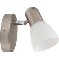 Спот Violet TL1231Y-01SN