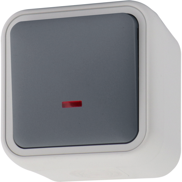 Выключатель звонкового типа 1-клавишный накладной,  с подсветкой,  цвет серый,  IP55,  серия W55