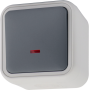 Выключатель звонкового типа 1-клавишный накладной,  с подсветкой,  цвет серый,  IP55,  серия W55