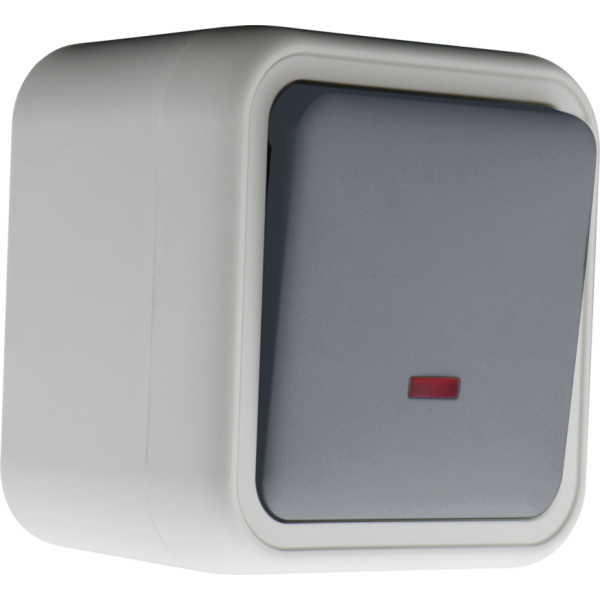 Выключатель звонкового типа 1-клавишный накладной,  с подсветкой,  цвет серый,  IP55,  серия W55