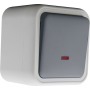 Выключатель звонкового типа 1-клавишный накладной,  с подсветкой,  цвет серый,  IP55,  серия W55