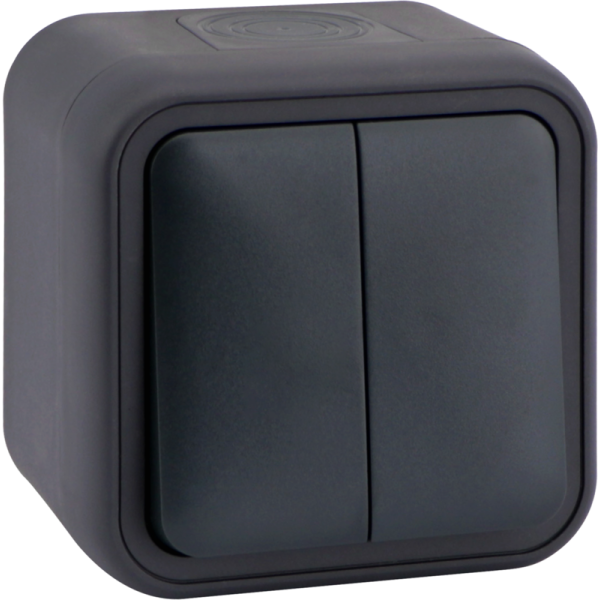 Переключатель 2-клавишный накладной,  цвет антрацит,  IP55,  серия W55