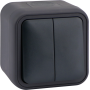 Переключатель 2-клавишный накладной,  цвет антрацит,  IP55,  серия W55