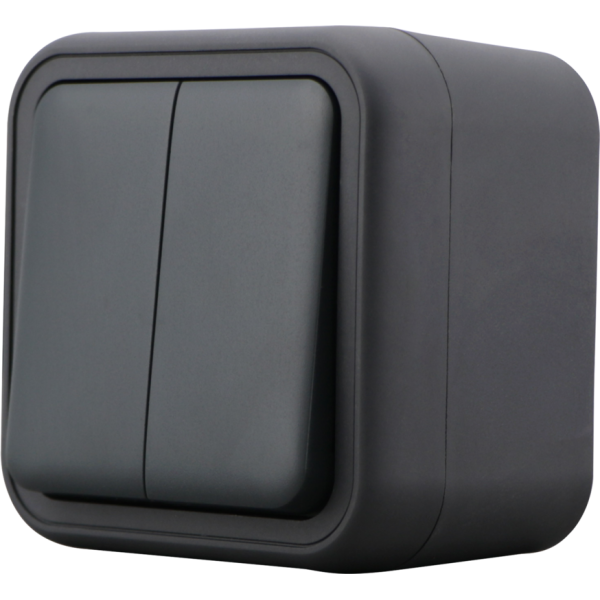 Переключатель 2-клавишный накладной,  цвет антрацит,  IP55,  серия W55
