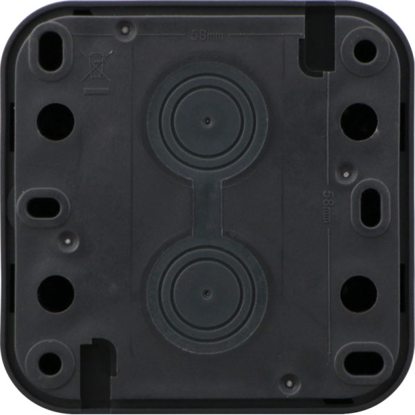 Переключатель 2-клавишный накладной,  цвет антрацит,  IP55,  серия W55