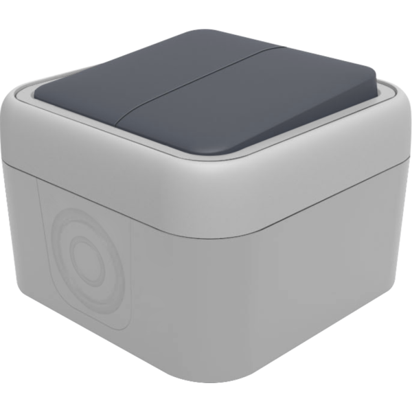 Переключатель 2-клавишный накладной,  цвет серый,  IP55,  серия W55