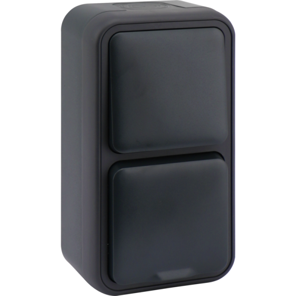 Двойной блок накладной,  розетка с защитной крышкой+переключатель 1-клавишный,  цвет антрацит,  IP55,  серия W55