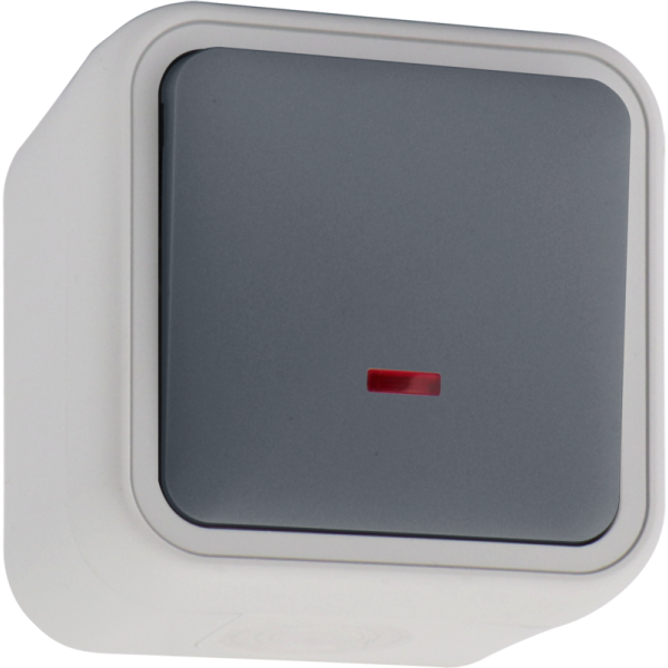 Переключатель 1-клавишный накладной с подсветкой,  цвет серый,  IP55,  серия W55