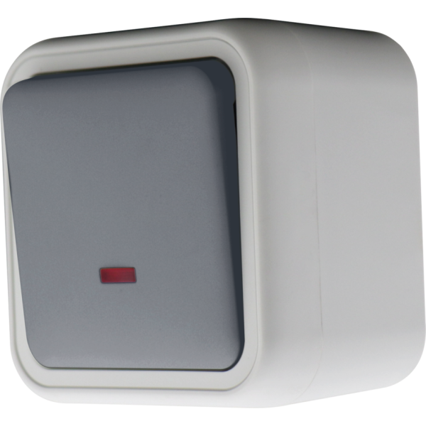 Переключатель 1-клавишный накладной с подсветкой,  цвет серый,  IP55,  серия W55