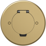 Лючок Surface 2 мод. (1 мод. 45х45 мм.),   круглый,  круглая крышка,  золото,  IP44,  (с уст. набором)