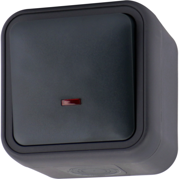 Выключатель звонкового типа 1-клавишный накладной,  с подсветкой,  цвет антрацит,  IP55,  серия W55