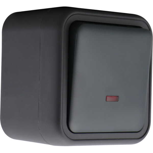 Выключатель звонкового типа 1-клавишный накладной,  с подсветкой,  цвет антрацит,  IP55,  серия W55