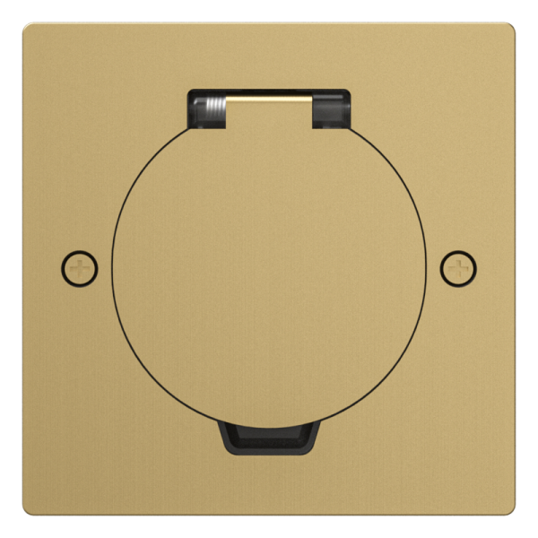 Лючок Surface 2 мод. (1 мод. 45х45 мм.),  круглая крышка,  зотоло,  IP44