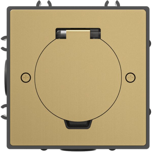 Лючок Surface 2 мод. (1 мод. 45х45 мм.),  круглая крышка,  зотоло,  IP44