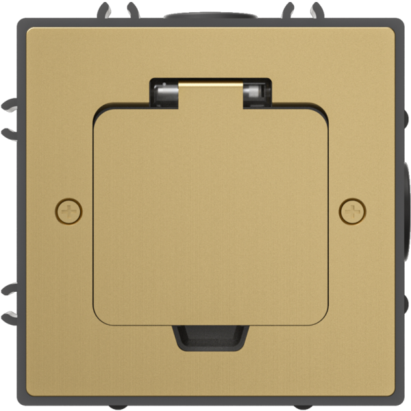 Лючок Surface 2 мод. (1 мод. 45х45 мм.),  золото,  IP44,  (с уст. набором)