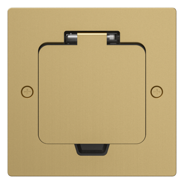 Лючок Surface 2 мод. (1 мод. 45х45 мм.),  золото,  IP44,  (с уст. набором)