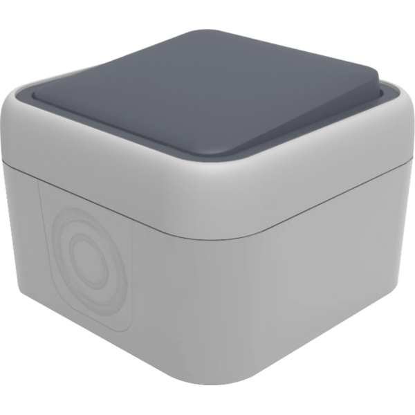 Выключатель звонкового типа 1-клавишный накладной,  цвет серый,  IP55,  серия W55