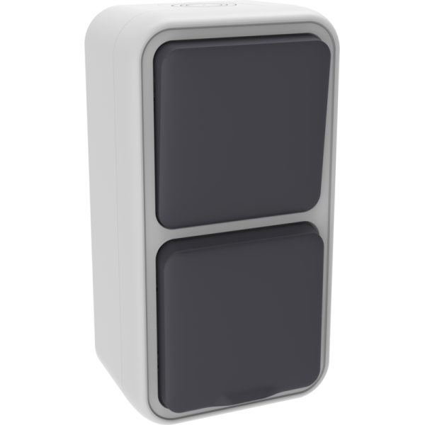 Двойной блок накладной,  розетка с защитной крышкой+переключатель 1-клавишный,  цвет серый,  IP55,  серия W55