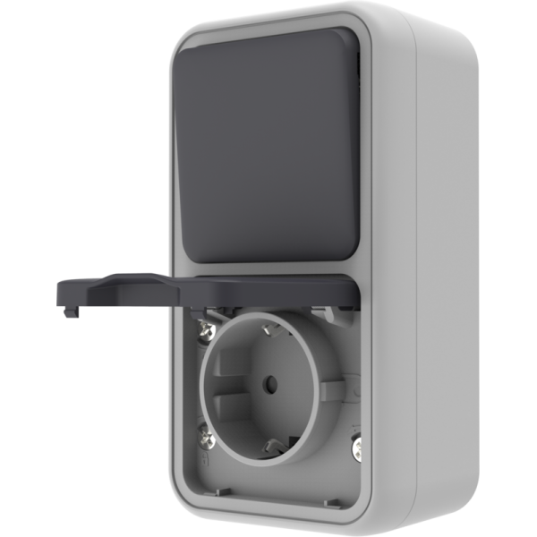Двойной блок накладной,  розетка с защитной крышкой+переключатель 1-клавишный,  цвет серый,  IP55,  серия W55