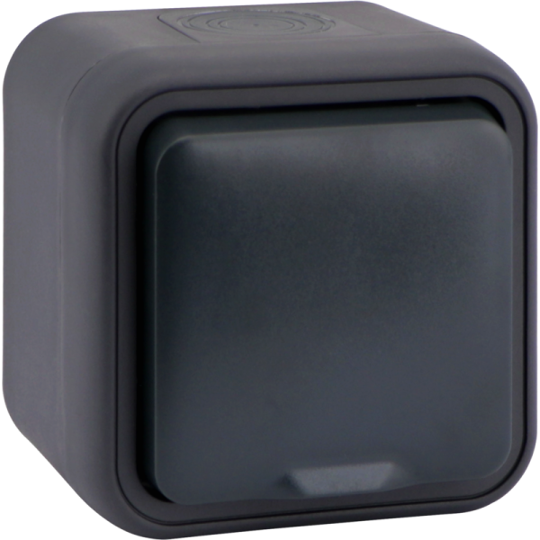 Розетка 1-я с защитной крышкой,  2К+З и шторками,  накладная,  цвет антрацит,  IP55,  серия W55