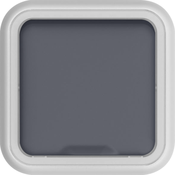 Розетка 1-я с защитной крышкой,  2К+З и шторками,  накладная,  цвет серый,  IP55,  серия W55