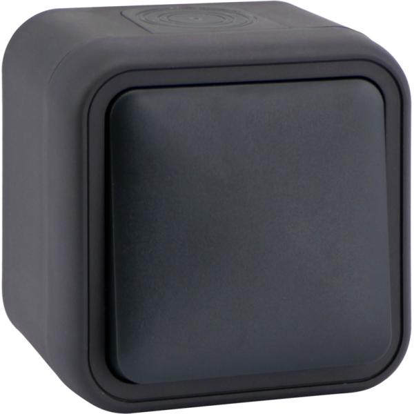Выключатель звонкового типа 1-клавишный накладной,  цвет антрацит,  IP55,  серия W55