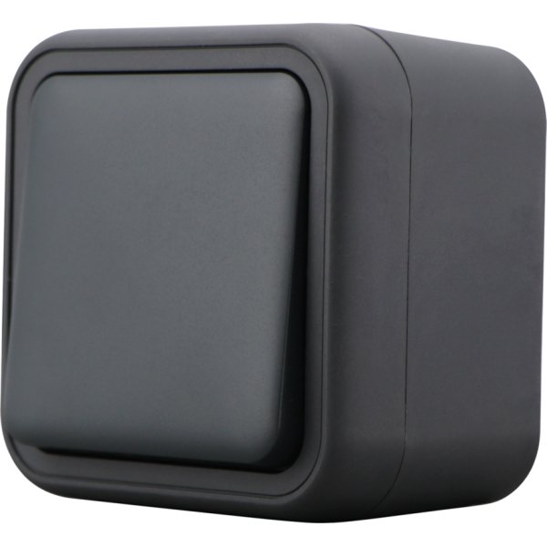 Выключатель звонкового типа 1-клавишный накладной,  цвет антрацит,  IP55,  серия W55