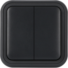 Рамка с клавишей для скрытой установки переключателя двухклавишного,  цвет антрацит,  IP55,  серия W55