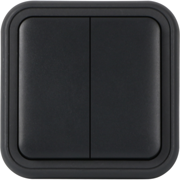 Рамка с клавишей для скрытой установки переключателя двухклавишного,  цвет антрацит,  IP55,  серия W55