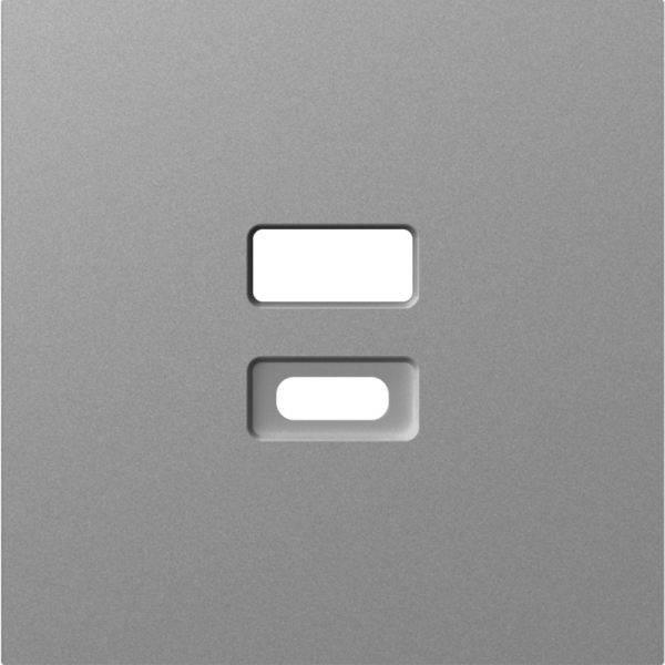 Накладка для розеток USB,  сталь,  серия A07