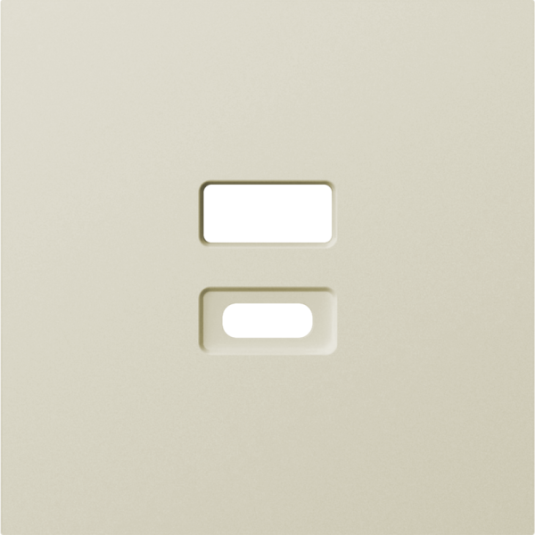 Накладка для розеток USB,  шампань,  серия A07