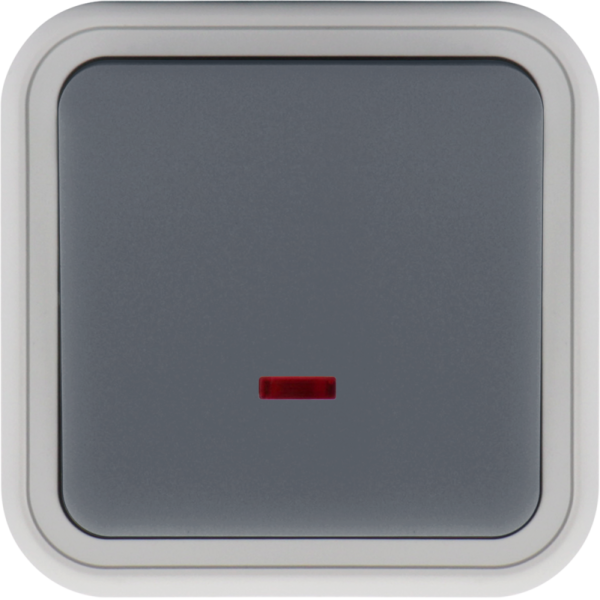 Выключатель звонкового типа 1-клавишный накладной,  с подсветкой,  цвет серый,  IP55,  серия W55