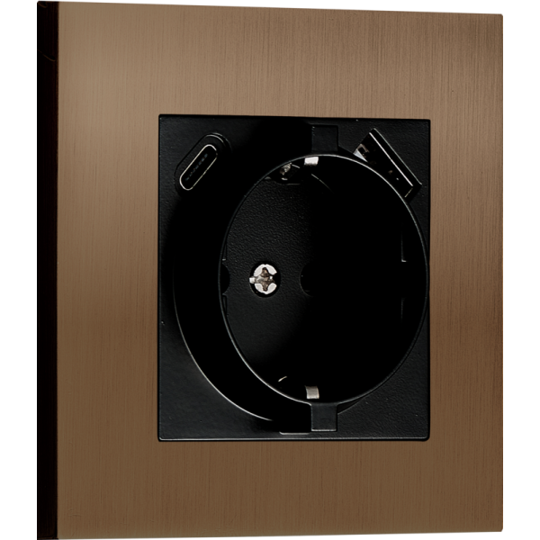 Розетка Schuko с зарядным устройством USB A+C,  с защитными шторками,  бронза,  серия N96