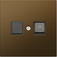 Накладка для розетки RJ45/RJ11,  одиночная,  латунь,  серия R98 METAL