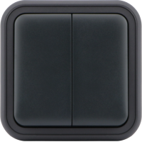 Переключатель 2-клавишный накладной,  цвет антрацит,  IP55,  серия W55