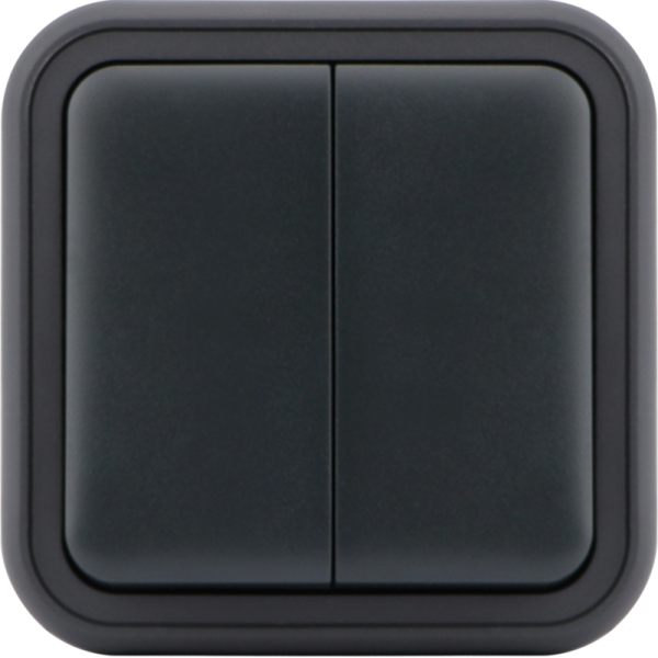 Переключатель 2-клавишный накладной,  цвет антрацит,  IP55,  серия W55