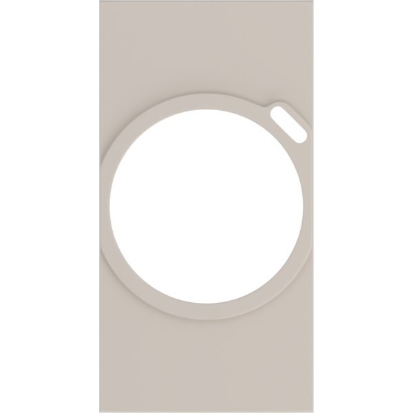 Лицевая панель для комбинированных розеток 2К+З/USB 2 модуля,  песочный