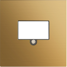 Накладка стандарта TAE для розеток USB,  HDMI,  Аудио,  матовое золото,  серия R98 METAL