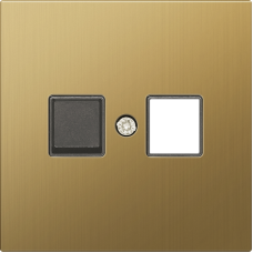 Накладка для розетки RJ45/RJ11,  одиночная,  матовое золото,  серия R98 METAL