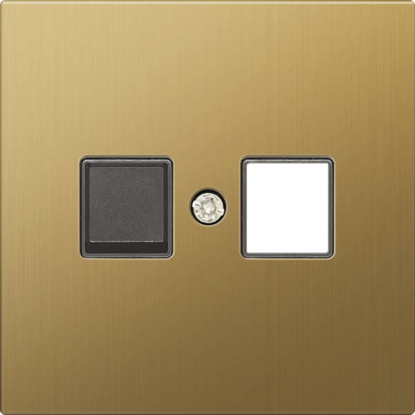 Накладка для розетки RJ45/RJ11,  одиночная,  матовое золото,  серия R98 METAL