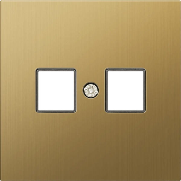 Накладка для розетки RJ45,  2-я,  матовое золото,  серия R98 METAL