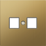 Накладка для розетки RJ45,  2-я,  матовое золото,  серия R98 METAL