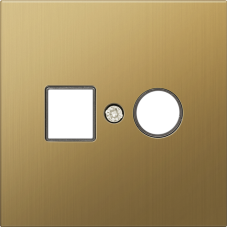 Накладка для розеток RJ45+SAT,  2-я,  матовое золото,  серия R98 METAL