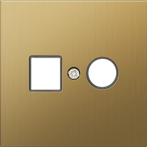 Накладка для розеток RJ45+SAT,  2-я,  матовое золото,  серия R98 METAL