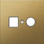 Накладка для розеток RJ45+SAT,  2-я,  матовое золото,  серия R98 METAL