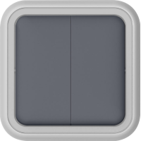 Переключатель 2-клавишный накладной,  цвет серый,  IP55,  серия W55