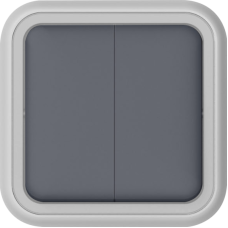 Переключатель 2-клавишный накладной,  цвет серый,  IP55,  серия W55