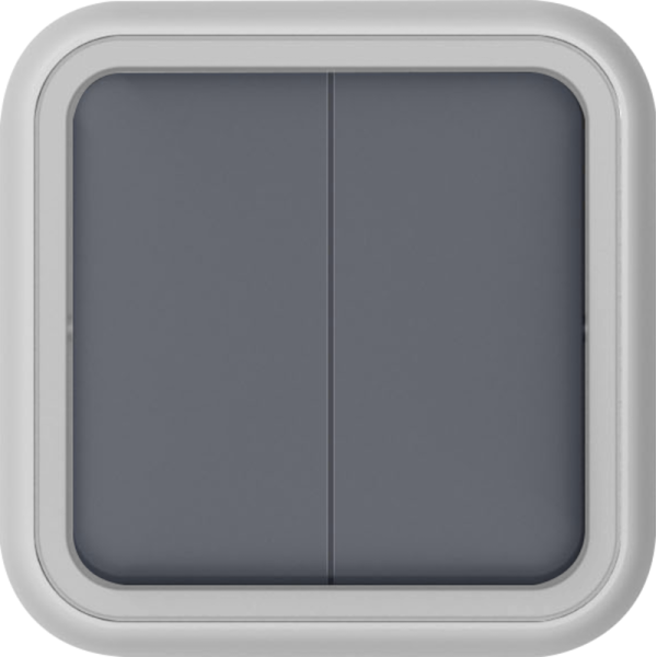 Переключатель 2-клавишный накладной,  цвет серый,  IP55,  серия W55
